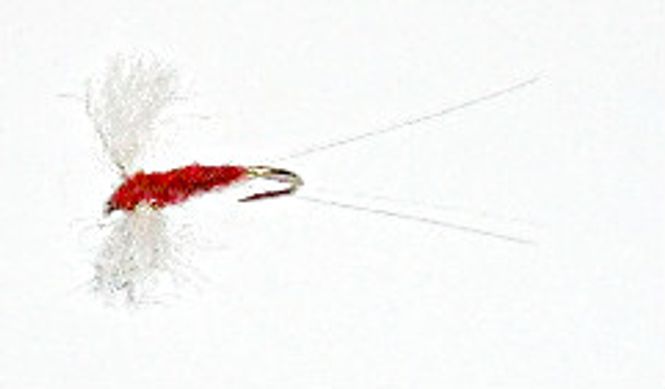 Hovedbilde Rusty Spinner