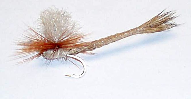 Hovedbilde Danica