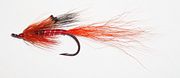 Allys Shrimp oransje enkel krok lakseflue