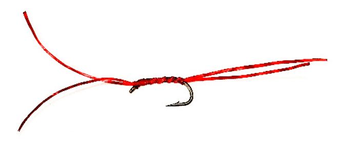 Hovedbilde Rød blodorm flexi floss