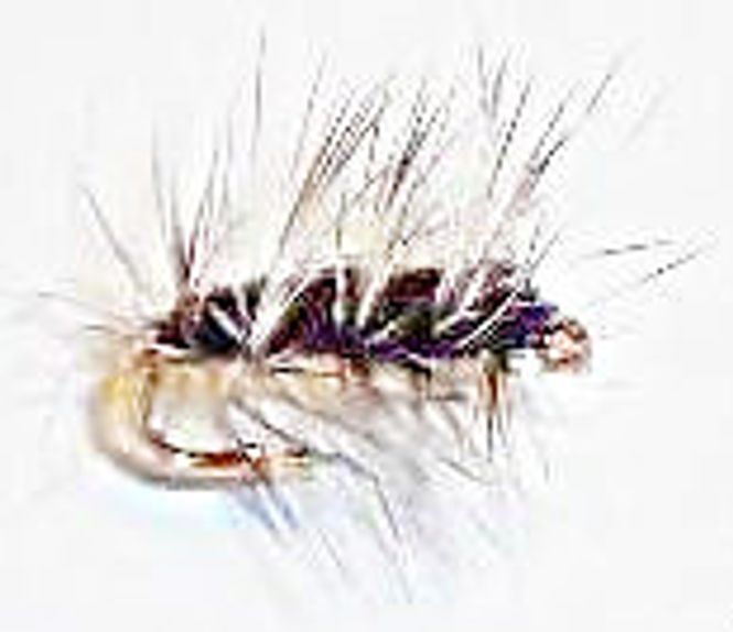 Hovedbilde Wolly Worm - sort (palmer mygg)