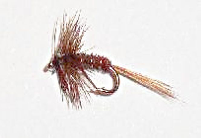 Hovedbilde Pheasant Tail tørrflue