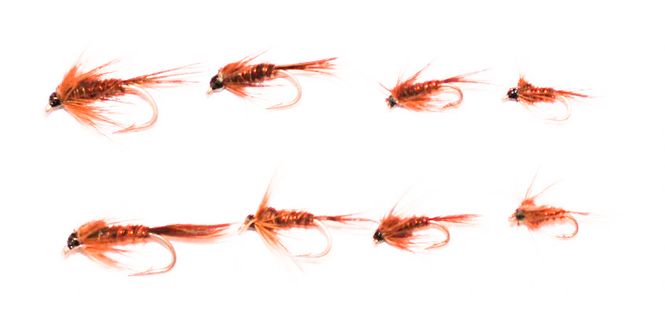 Hovedbilde Pheasant Tail nymfe multi pakke 