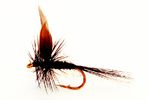 Black Gnat busteflue
