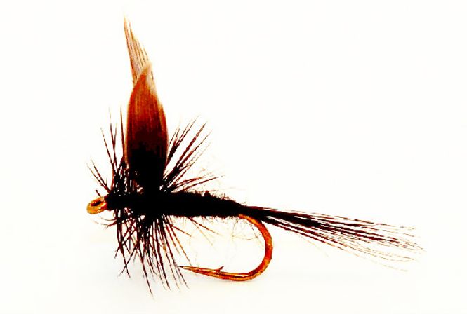 Hovedbilde Black Gnat busteflue