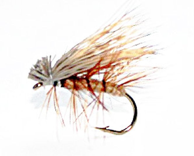 Hovedbilde Elk Hair Caddis 