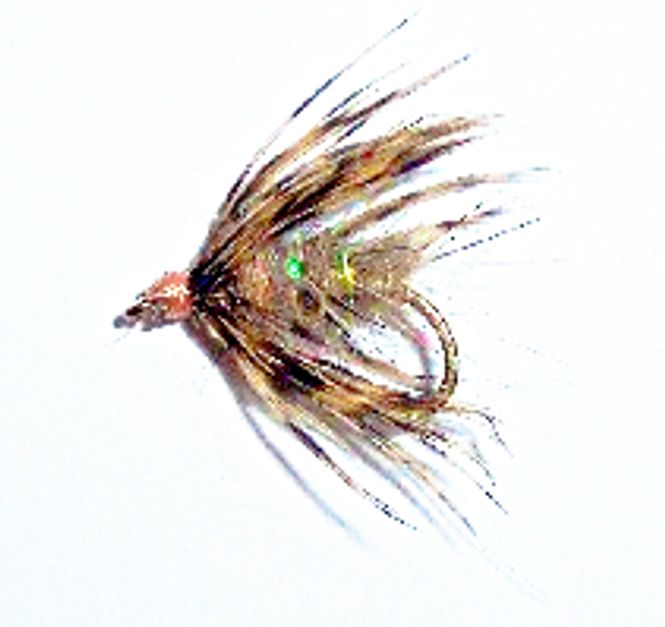 Hovedbilde Soft Hackle Caddis
