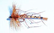 Stankelben (Daddy Long Legs Detached)
