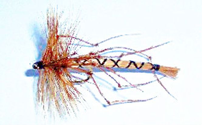 Hovedbilde Stankelben (Daddy Long Legs Detached)