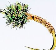 Brassie Copper