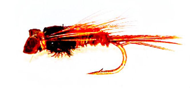 Hovedbilde Leptophlebia nymfe