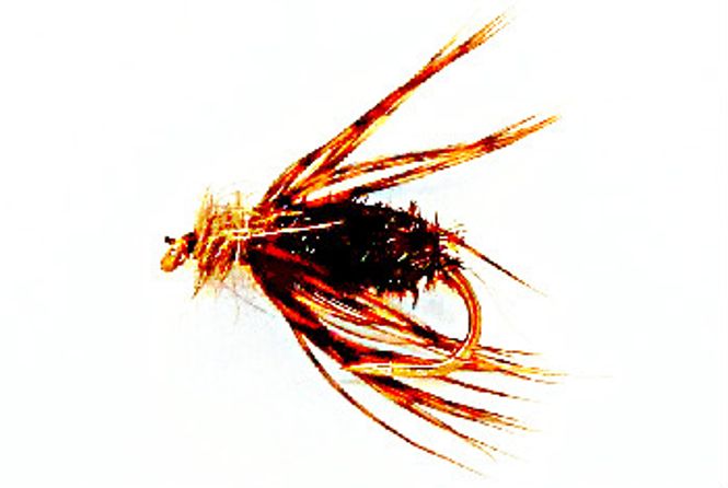 Hovedbilde Vårflue klekker