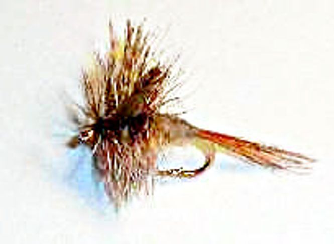 Hovedbilde March Brown tørrflue